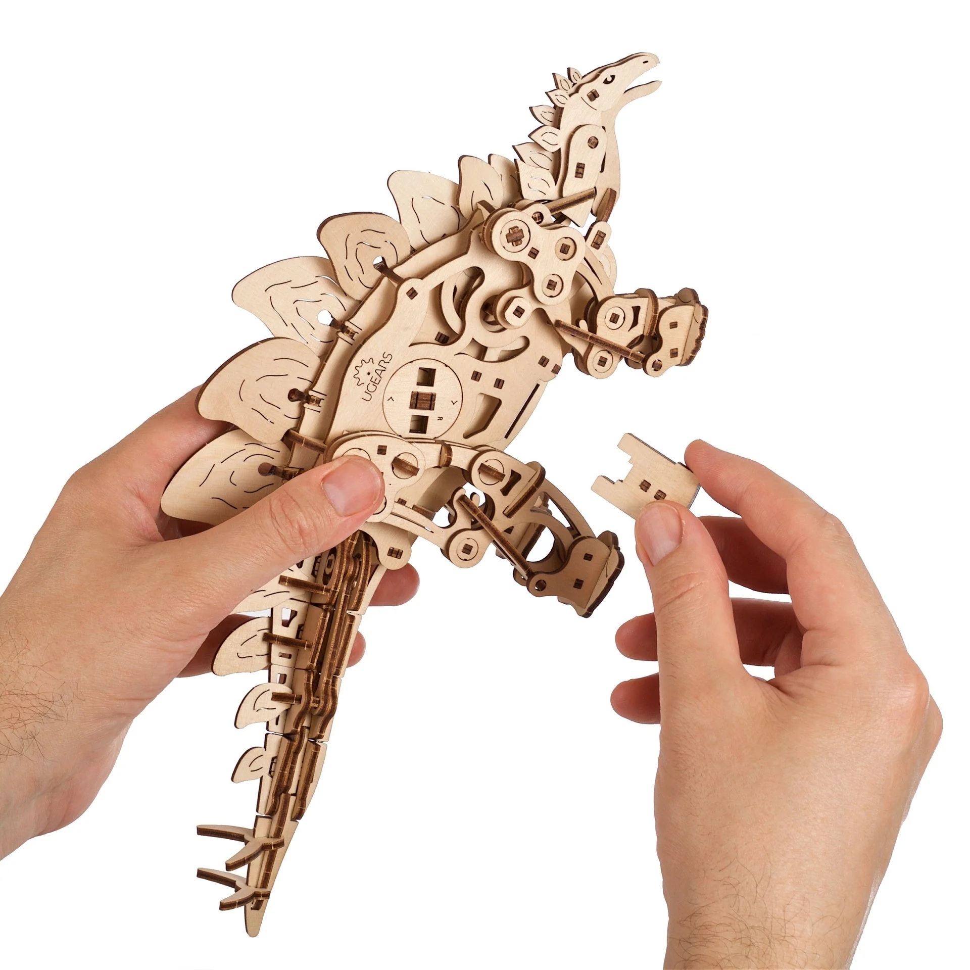 Stegosaurus - Image 4